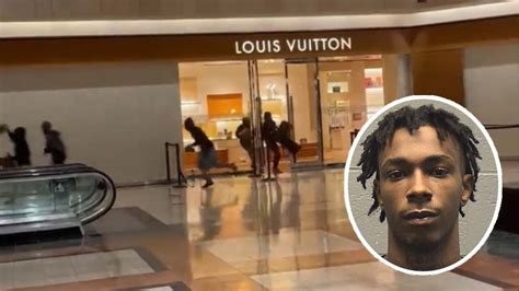 flash mob robbery louis vuitton|louis vuitton swipe.